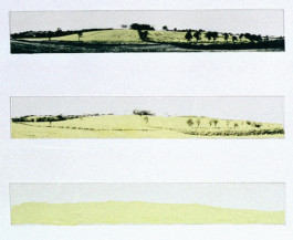 Roger Farnham
