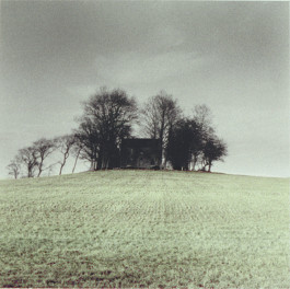 Roger Farnham