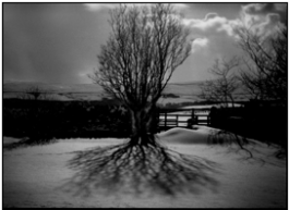 Roger Farnham